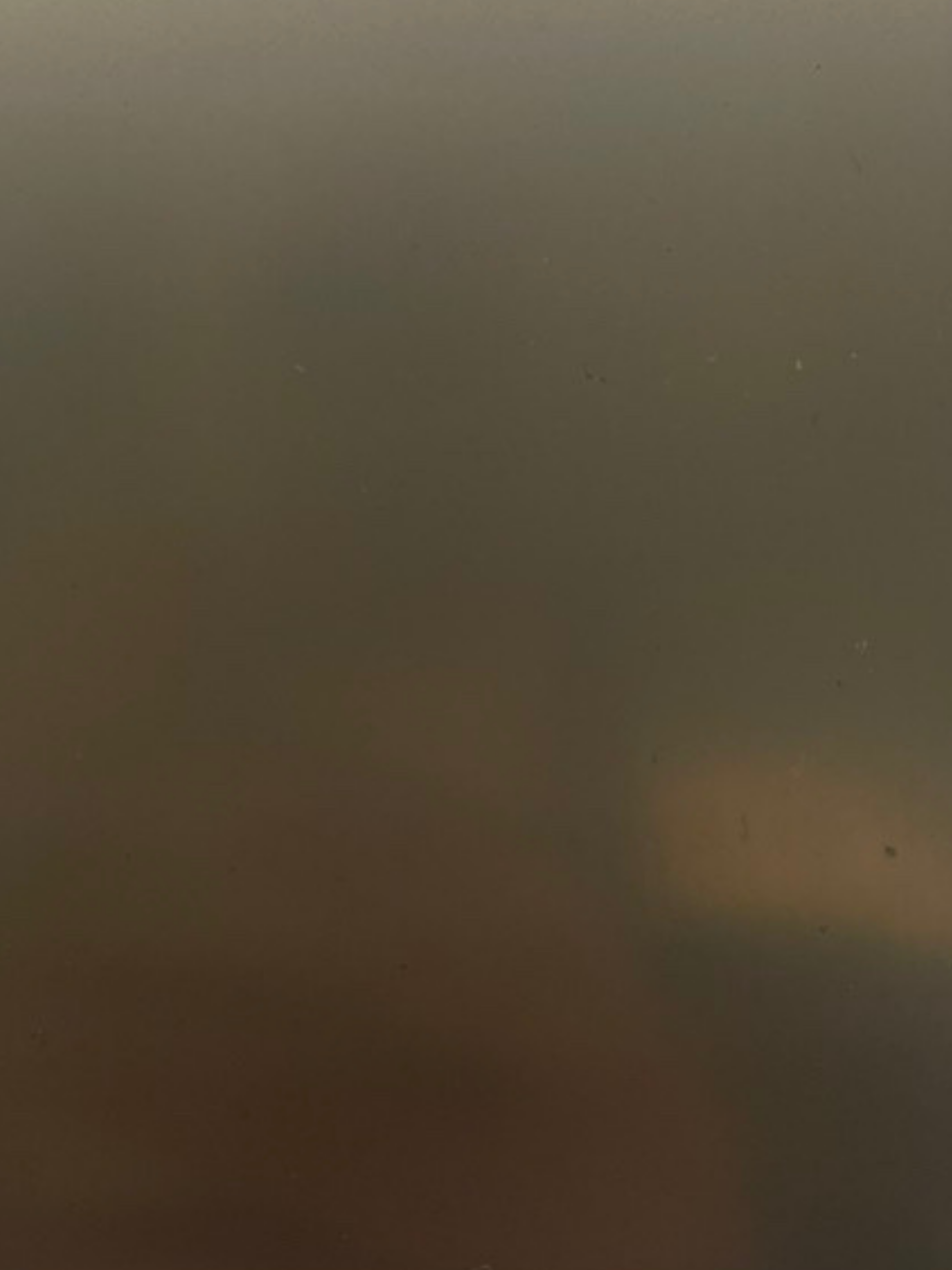 CARAMEL BRONZE