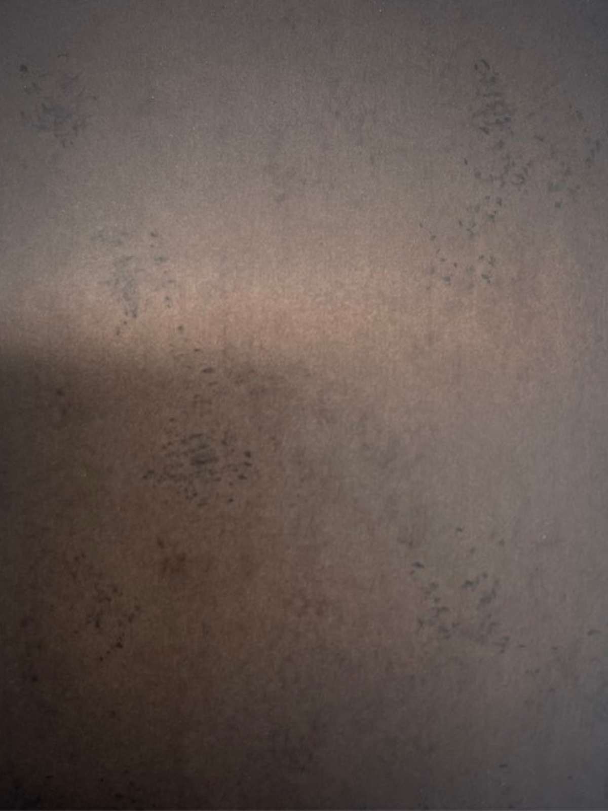 PATINATED BRONZE